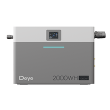 Deye AE-FS2.0-2H2 ports and LCD